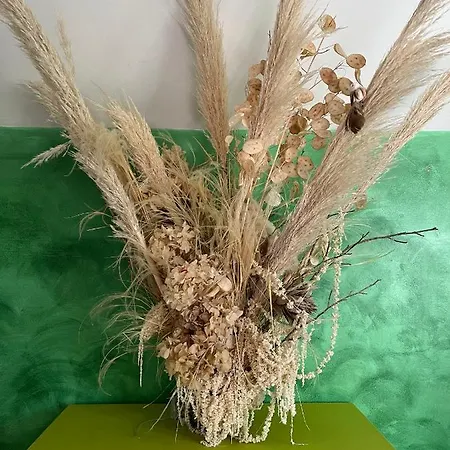 Le Chez Qui J'habite