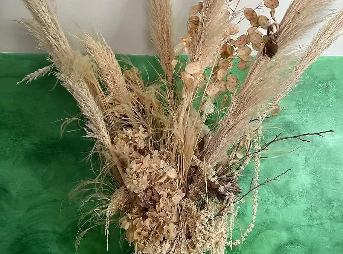 Le Chez Qui J'habite