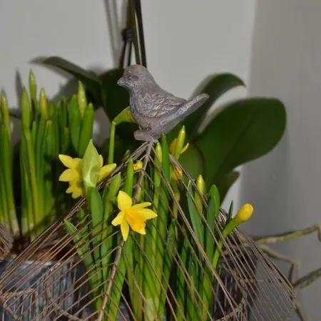 Le Chez Qui J'habite Appartamento Saint-Aubin-sur-Mer (Seine-Maritime)